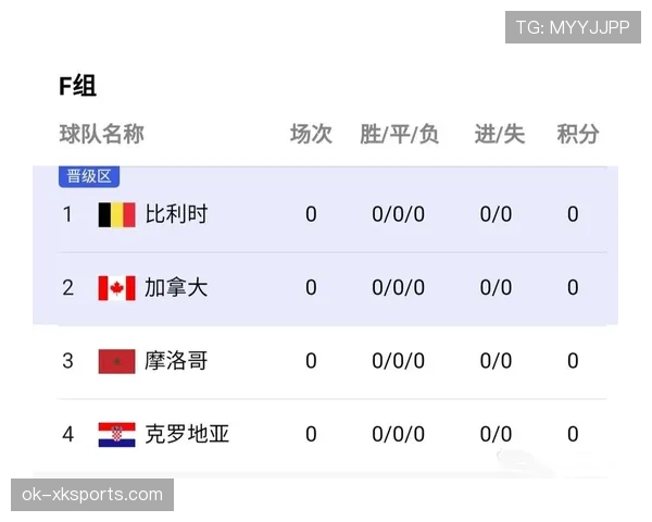 世界杯F组关键数据统计